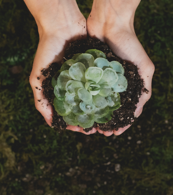 Sustainability at Our Core